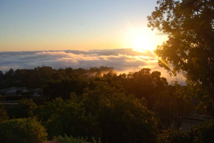 Sunset over the fields