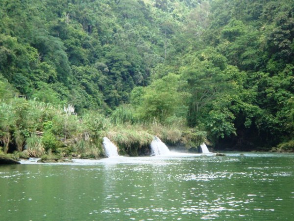 Scenic Scenes in Loboc River