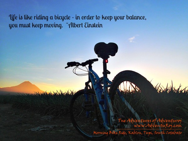 bike quotes