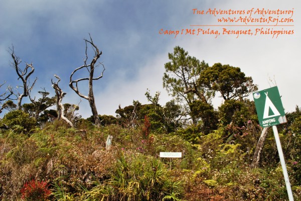 Camp 1 Mt Pulag