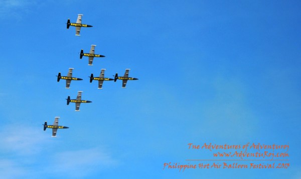 Breitling Aerobatic Exhibition (4)