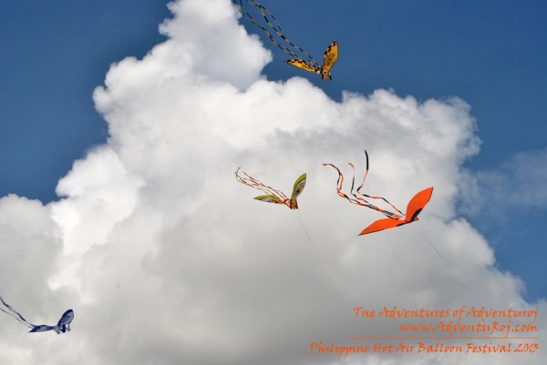 Kite Flying Exhibition (6)