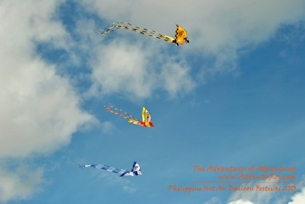 Kite Flying Exhibition (7)